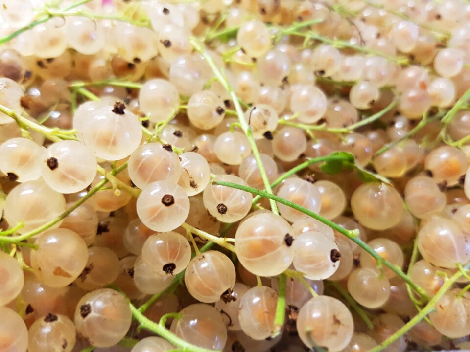 Food close-up fruit