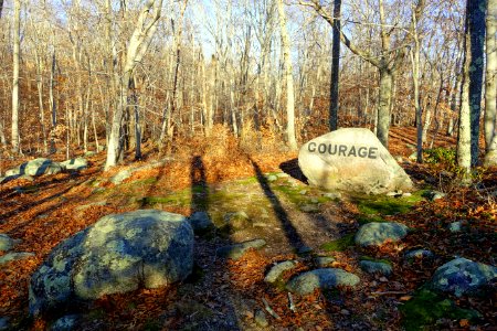 Courage - Babson's Boulders - Dogtown, MA - DSC01549 photo