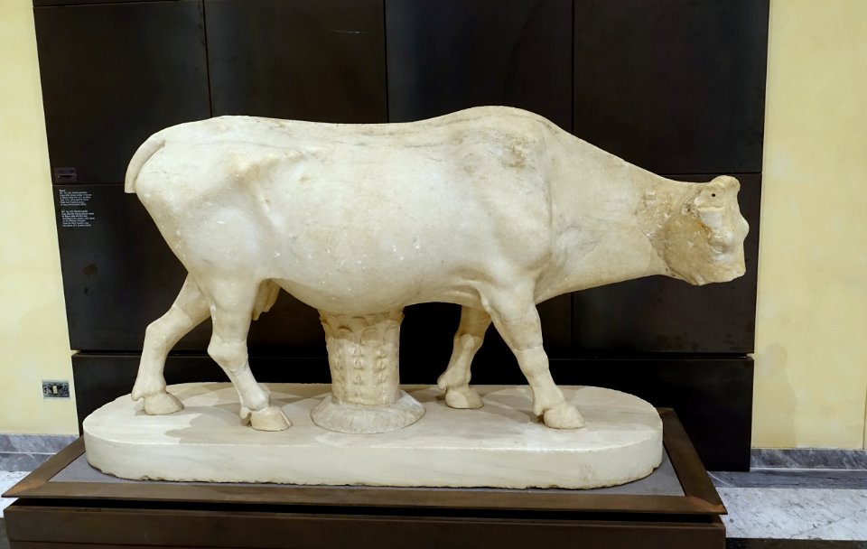 Cow, M.C. inv. 921, Roman, from the Horti Tauriani near the church of S. Eusebio, copy after the bronze by Myron, 460-440 BC, marble - Musei Capitolini - Rome, Italy - DSC05846