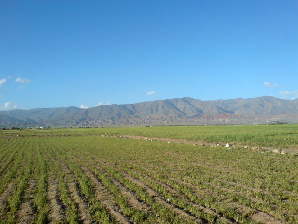 Countryside North Nishapur-near Hakim Hospital (3)