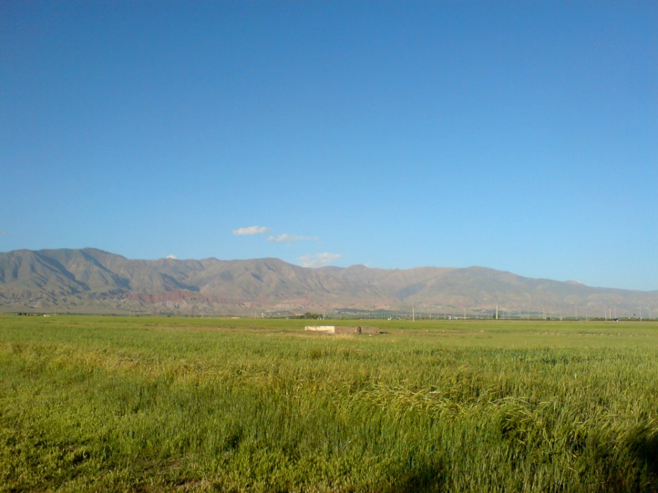 Countryside North Nishapur-near Hakim Hospital (8)