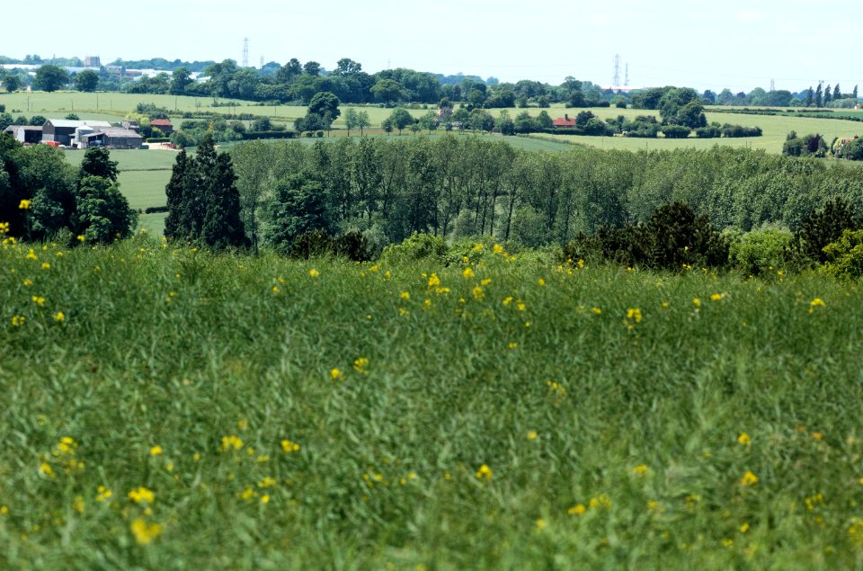 Countryside-Hertfordshire-20050613-013