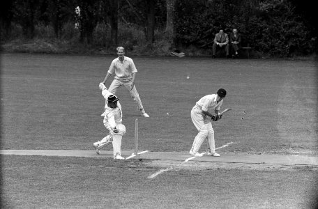 Cricket Flamingos tegen Oxford, Bestanddeelnr 914-1587