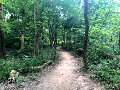 Crooked Creek Park, Sandy Springs July 2021 2
