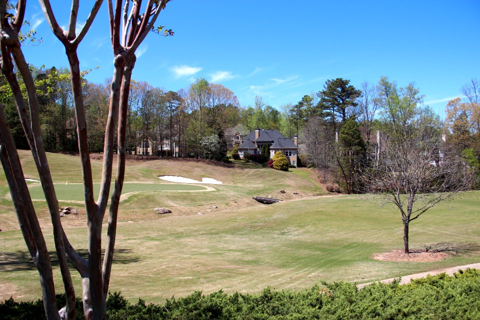 Crooked Creek, Milton, Georgia April 2017