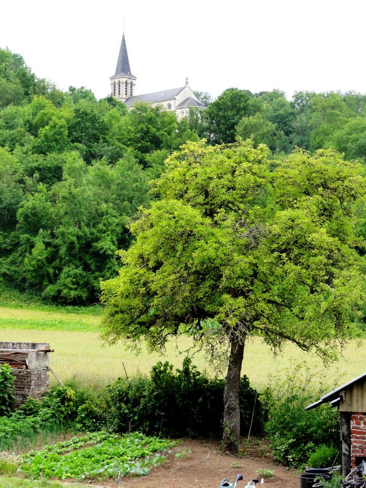 Crécy-au-Mont (Aisne) l'église vue d'en-bas