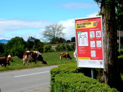 Covid-19-Pandemie Verhaltensempfehlungen in ländlichem Gebiet