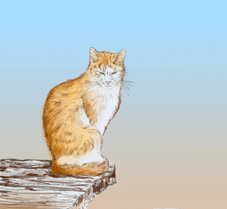 Croquis numérique d'un des chats du refuge de Brissac, sur un fond dégradé