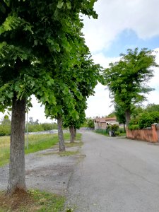 Coviolo (Re) - 10 may 2017 05
