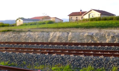 Crispijana 02