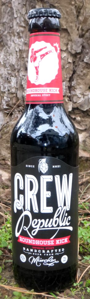 CrewRepublicRoundhouseKick