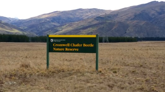 Cromwell chafer beetle reserve sign