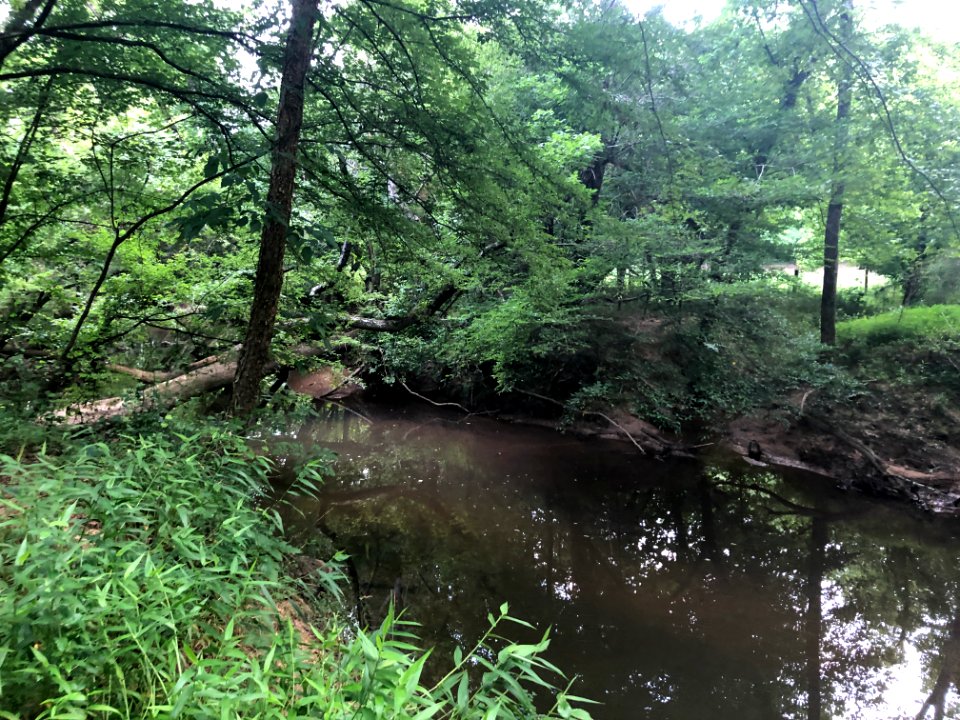 Crooked Creek, Sandy Springs July 2021