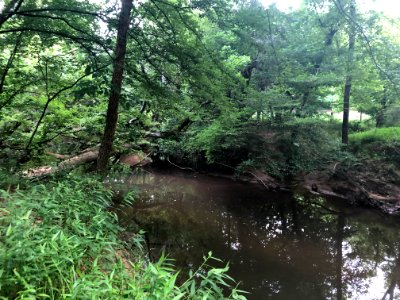 Crooked Creek, Sandy Springs July 2021