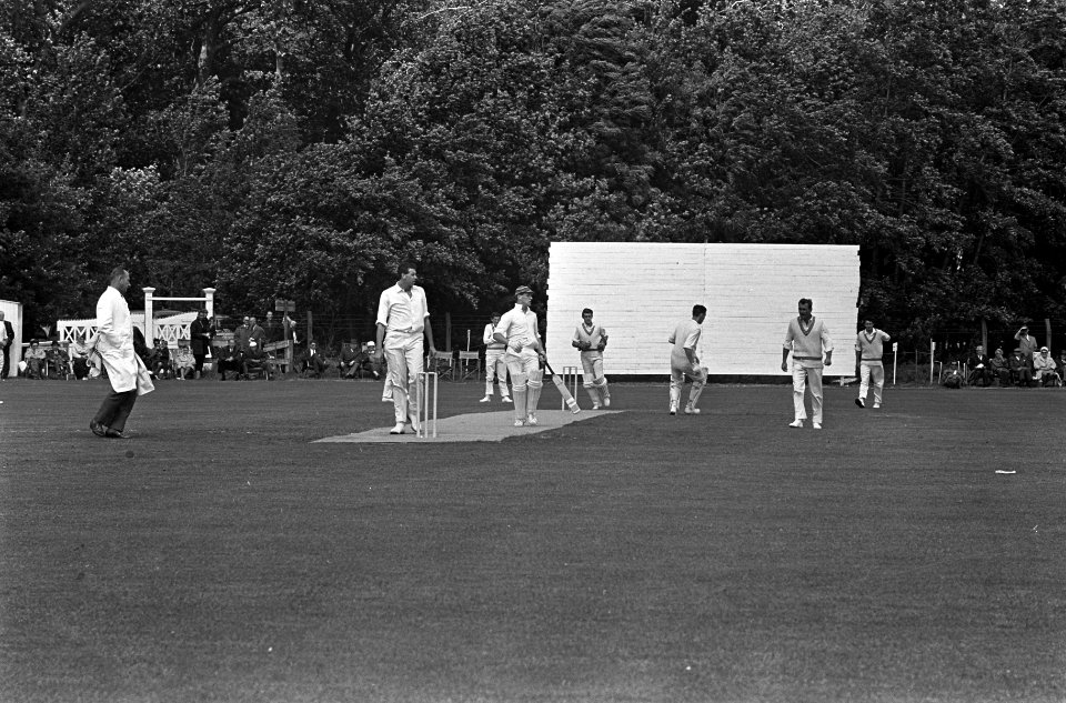 Cricket Nederland tegen Nieuw Zeeland , spelmoment uiter links de bower Tyler aa, Bestanddeelnr 917-9929