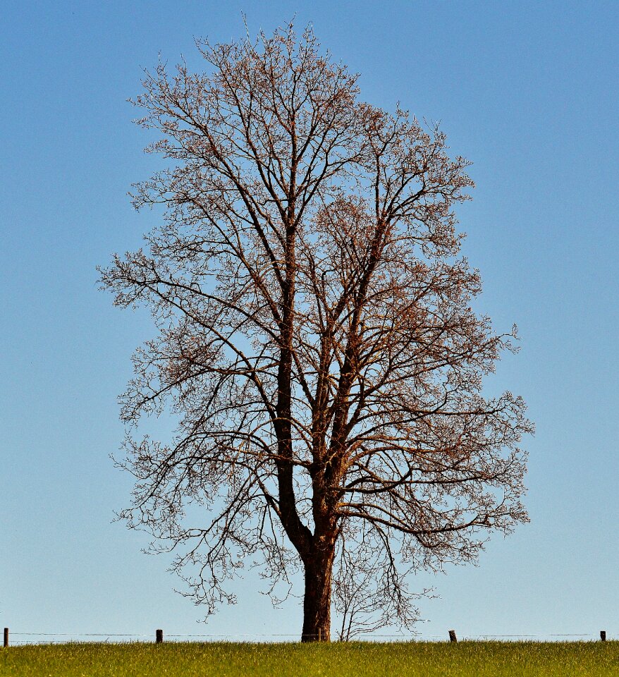 Nature sky blue