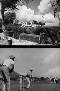 Cricket, Bestanddeelnr 254-6260