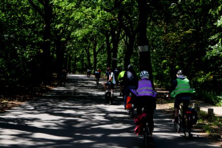 Critical Mass Havelchaussee 2020-07-12 09