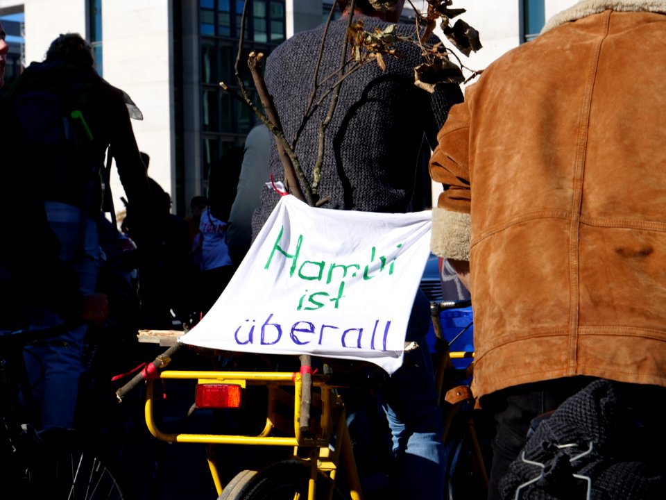 Critical Mass in support of the Hambach Forest Occupation Berlin 30-9-2018 20