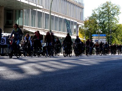 Critical Mass in support of the Hambach Forest Occupation Berlin 30-9-2018 16