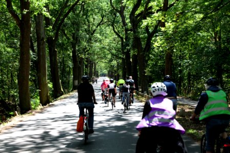 Critical Mass Havelchaussee 2020-07-12 38