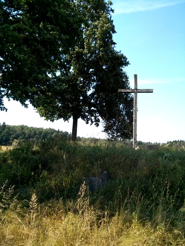Cross - Woynillowicz family hill in Sawiczy - 05