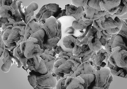 Abstract gray abstract gray smoke