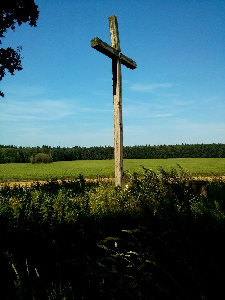 Cross - Woynillowicz family hill in Sawiczy - 01