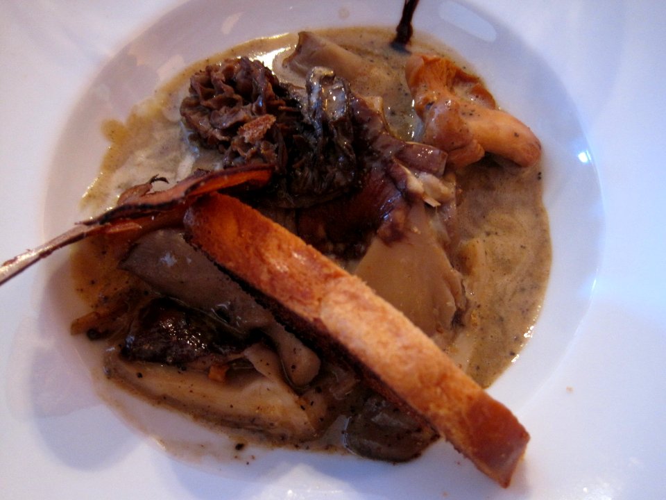 Croûte aux champignons