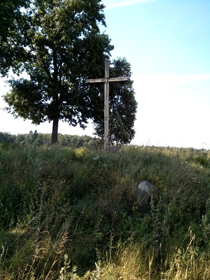 Cross - Woynillowicz family hill in Sawiczy - 04