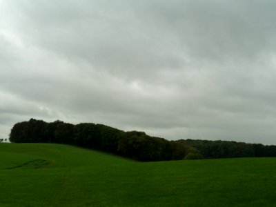 Crapoel-Bos bij Crapoel (1)