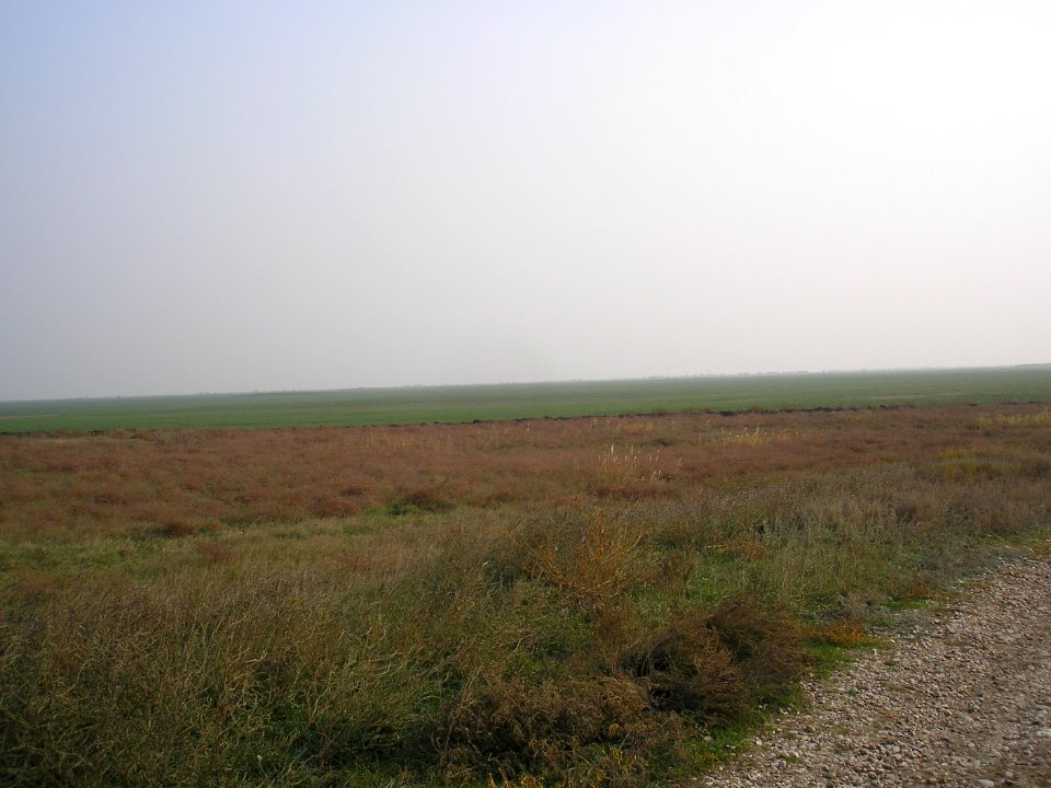 Crimean steppe, Nizhnegorsk district 1