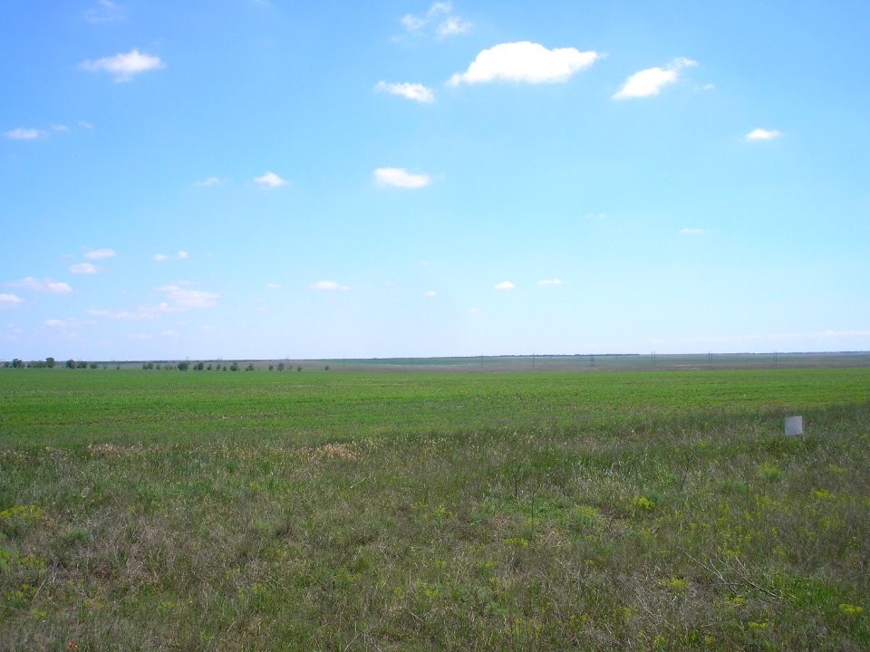 Crimean steppe 1