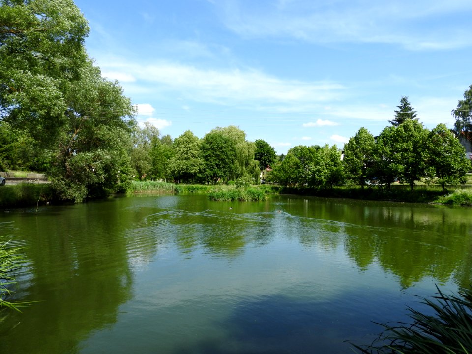 Crispendorf, Thuringia 26
