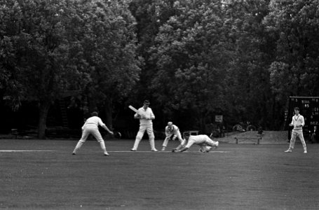 Cricket HCC tegen ACC wicketkeeper Stingenberg (rechts) duikt over zijn wicket, Bestanddeelnr 917-9528