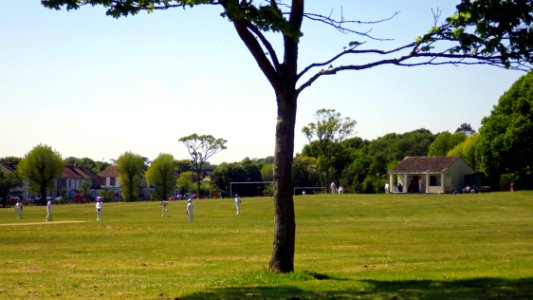 Cricket pitch, Bexhill Down Common, Bexhill