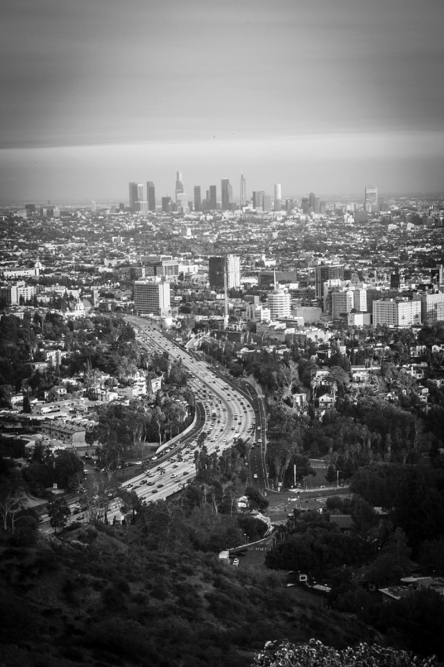 Los angeles skyline gray angel photo