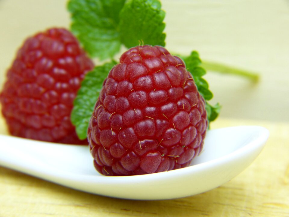 Fresh healthy healing fast