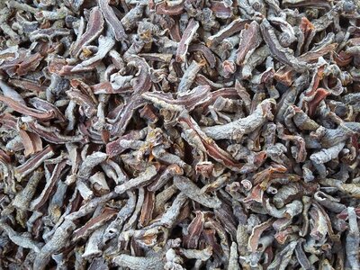 Turmeric sundry ready