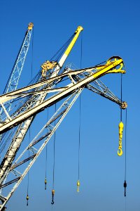 Cranes Of Antwerp (200851791)