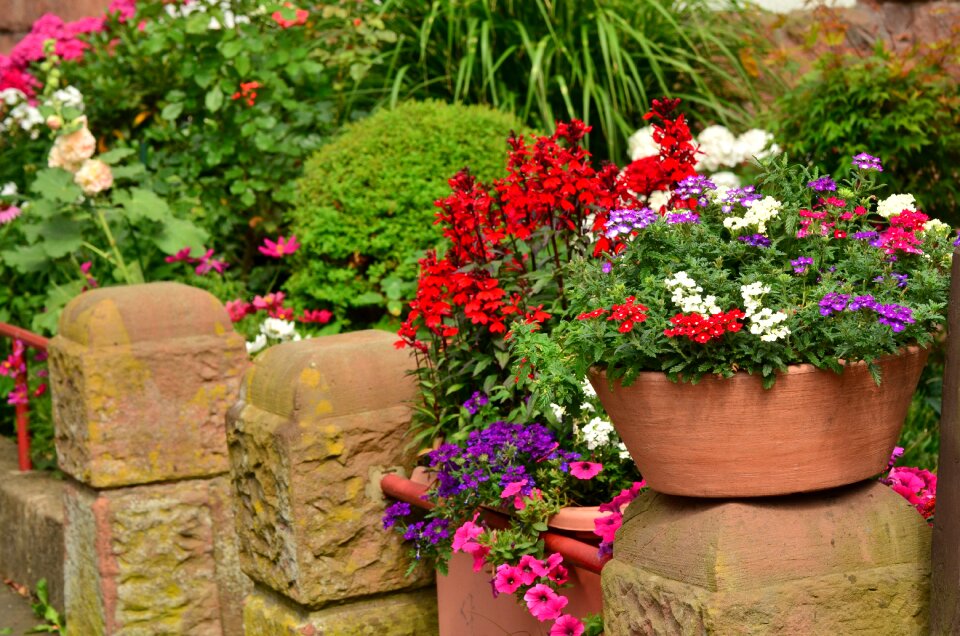 Wall planting garden