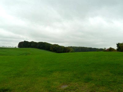 Crapoel-Bos bij Crapoel (2)
