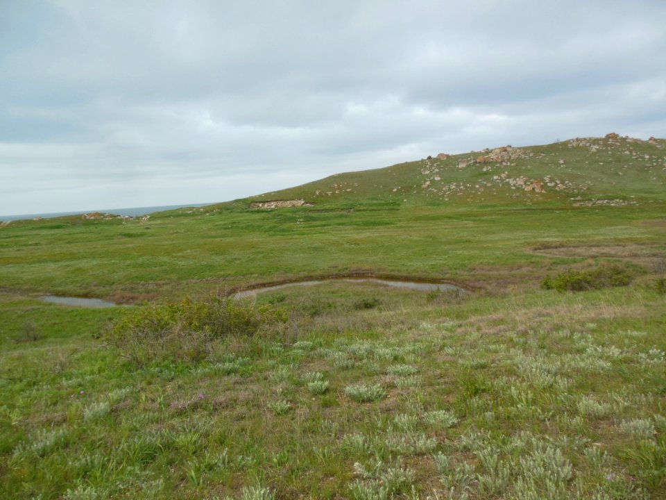 CreekSernaya 3