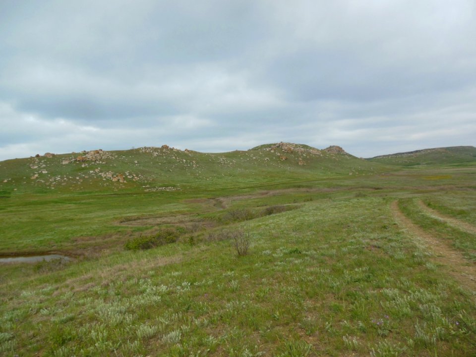 CreekSernaya 2