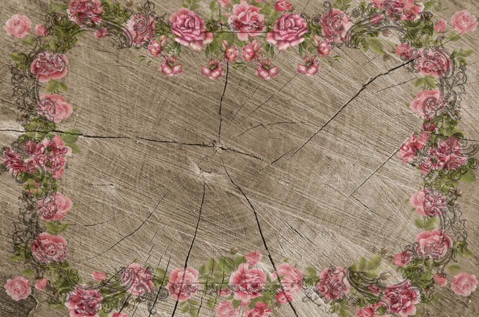Country house tree rings rosewood