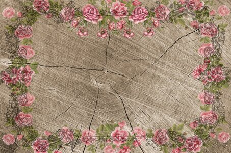 Country house tree rings rosewood