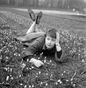 Crocussen bloeien in Overveen, Bestanddeelnr 909-3321