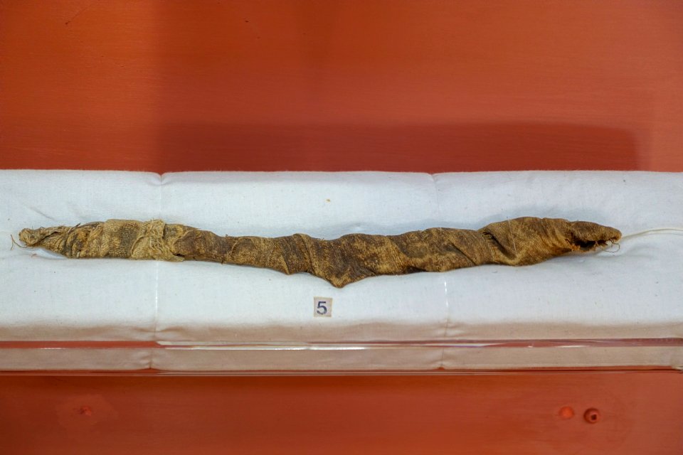 Crocodile mummy, Egypt, Ptolemaic period, 330-30 BC - Redpath Museum - McGill University - Montreal, Canada - DSC08142