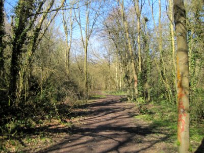 Crofton Wood path