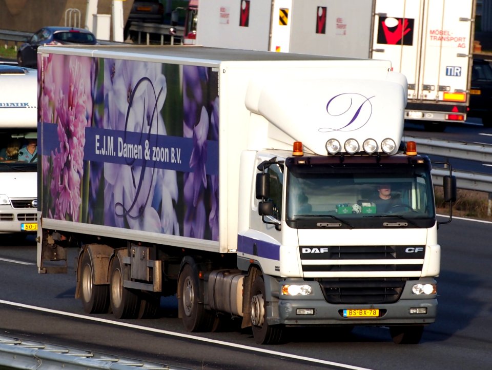 DAF TE75PC, EJM Damen & Zoon BV pic2